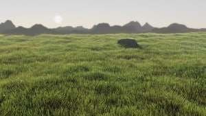Grassy Field