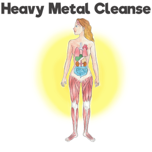 heavy metal detox