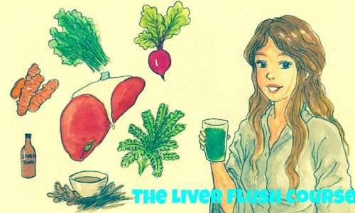 Liver/GallBladder Cleanse Course