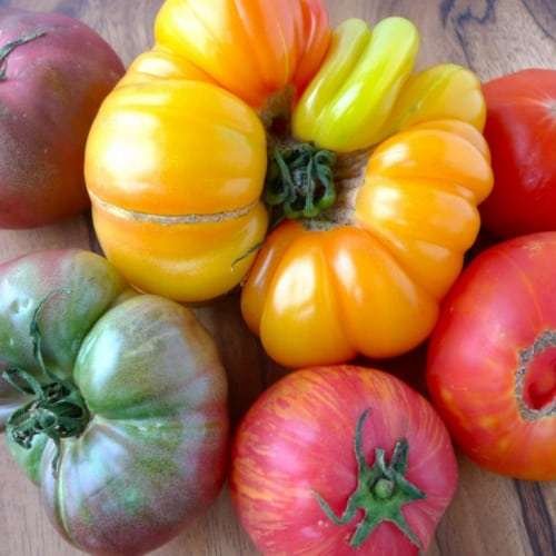 heirloomtomatoes ouichefcookcom c2a9 all rights reserved 1000x731 1