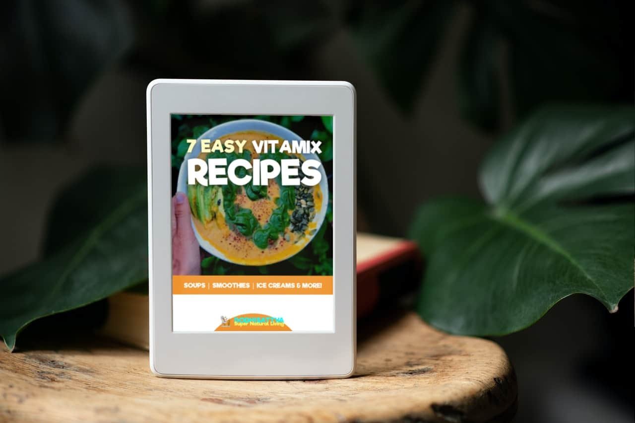 7 Easy Vitamix Recipes — Free eBook by Dodhisattva