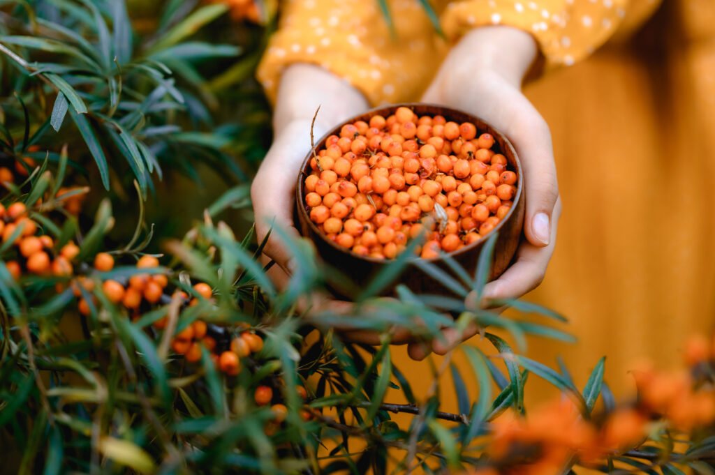 a cup of sea buckthorn