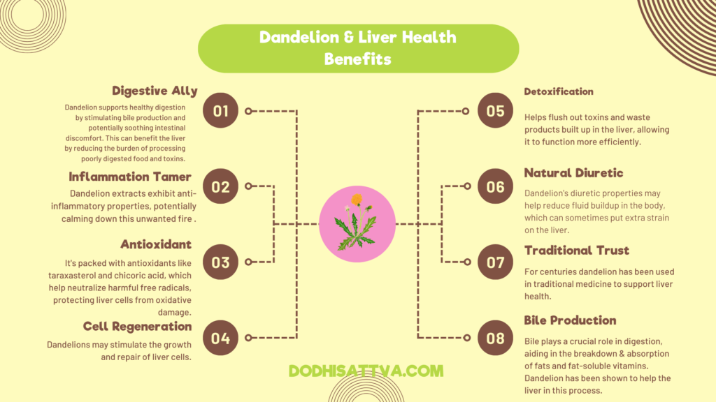 dandelion and liver health