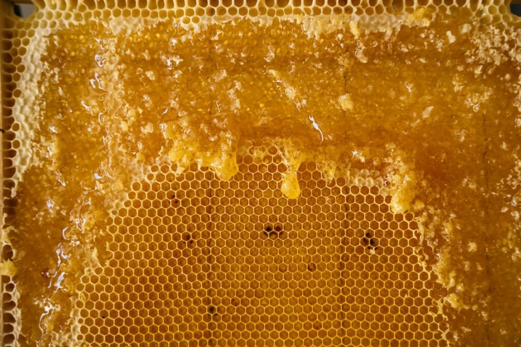 Closeup of a beekeeper holding a honeycomb full of bees.