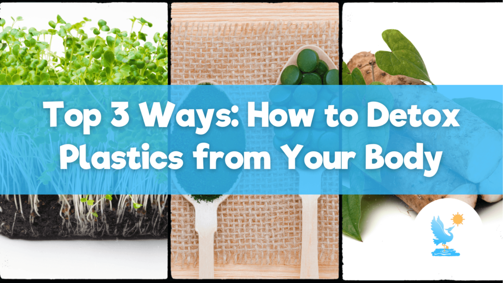 how to detox plastics from your body