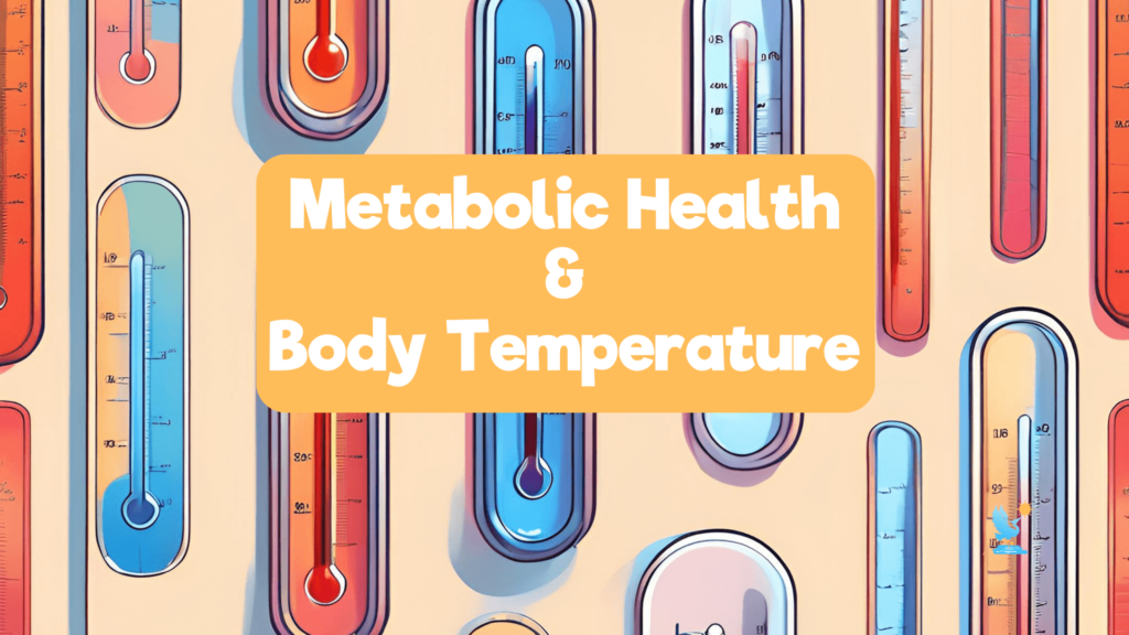 Metabolic Health Explained