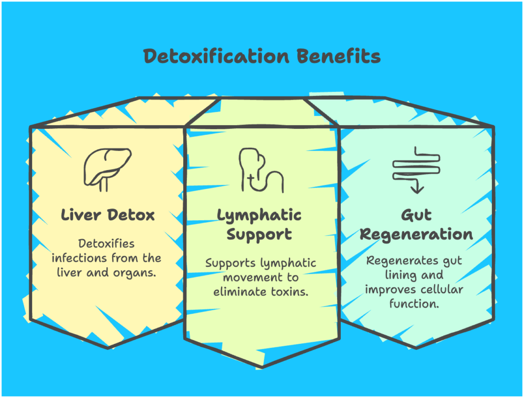 detox benefits