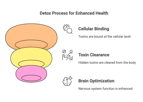 The Ultimate Detox Roadmap: A Step-by-Step Guide To Full Body Cleansing