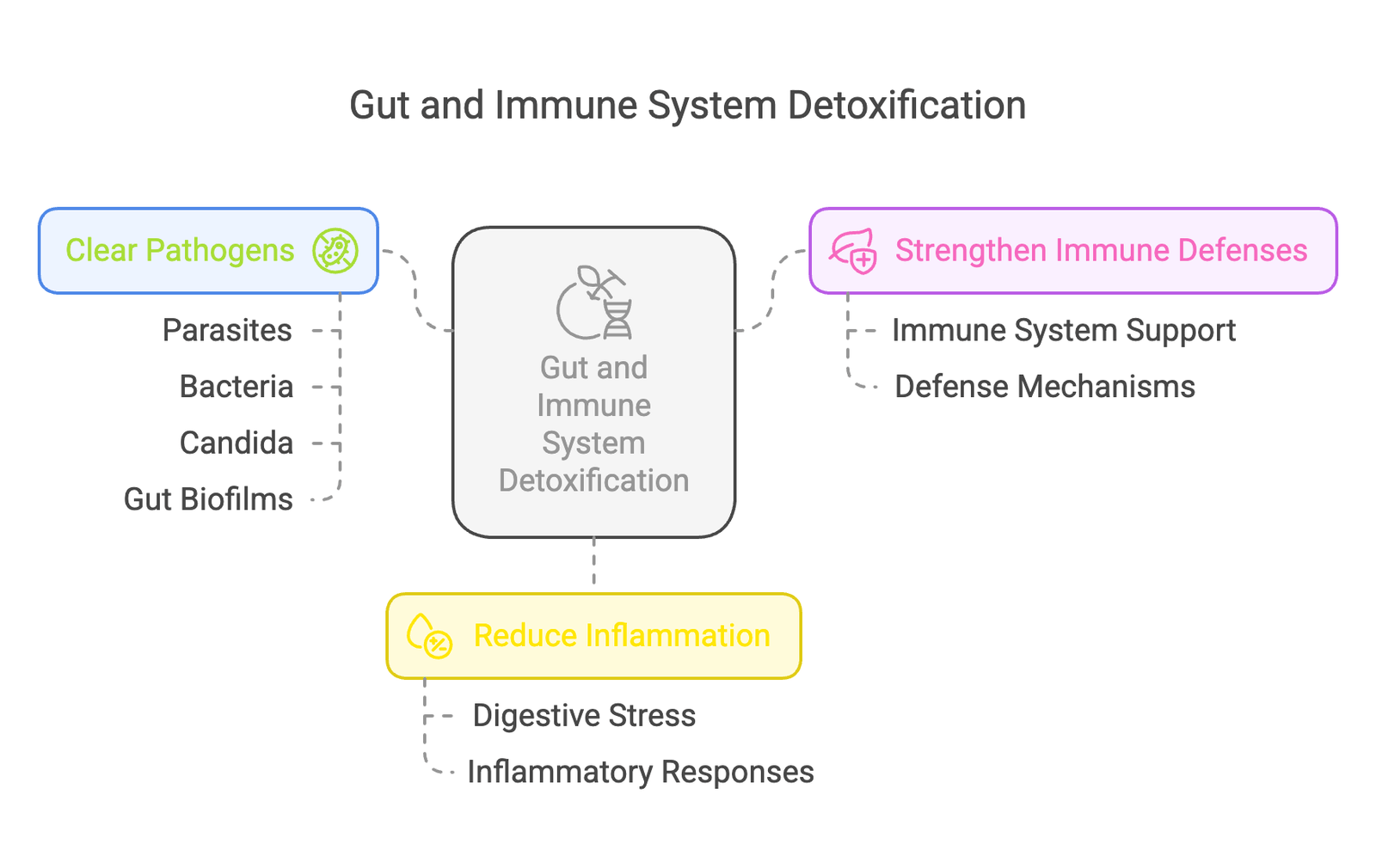 gut immune