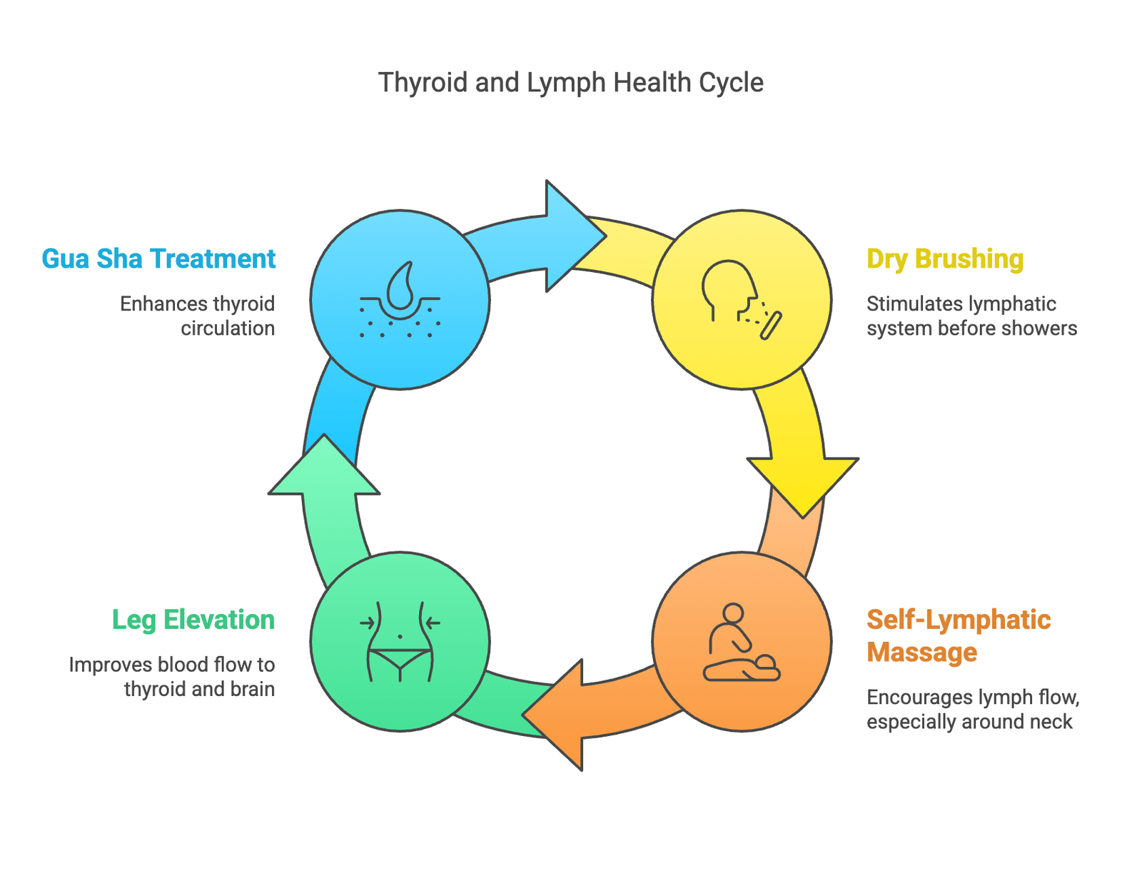 thyroid lymph (1)