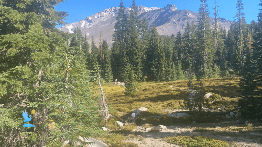 Panther Meadows
