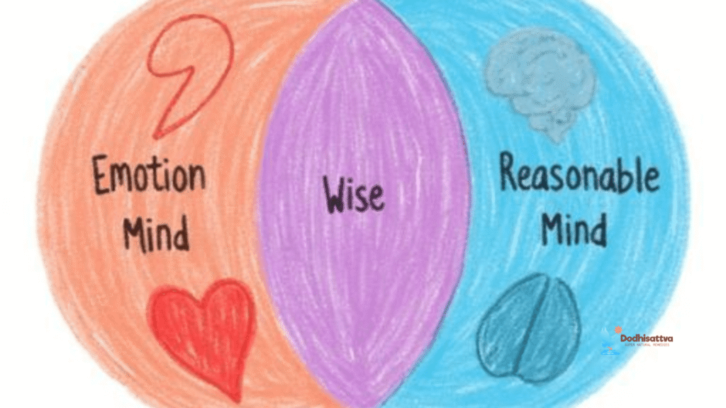 Wise Mind DBT Skills