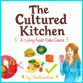 LIVINGFOODTHUMB (1)